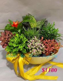 Greenery set with pot - code 1143